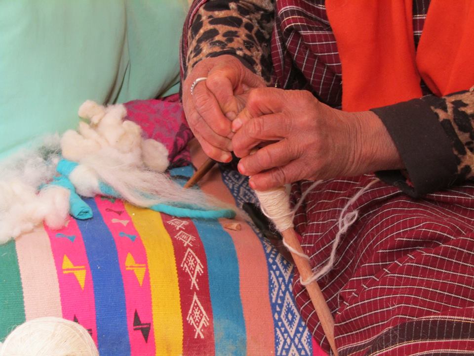 16681814 1742375562758287 5777066990891809088 n