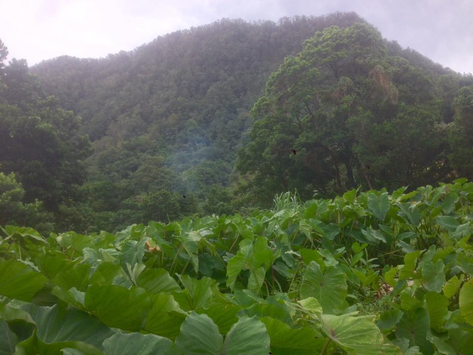 22221899 10214444895945221 7247241298502842852 n