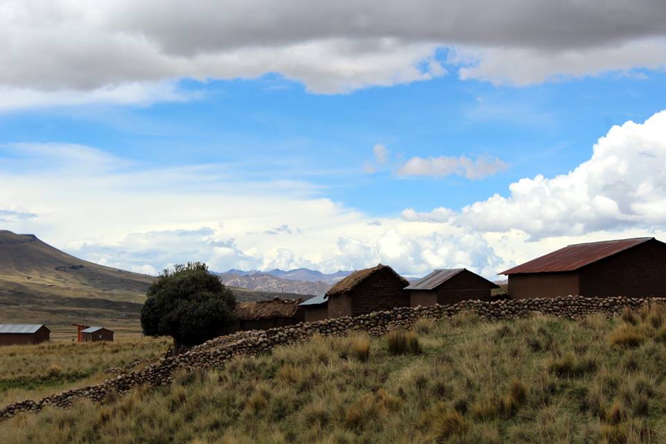 26992634 1665193490205829 7302404499523689209 n