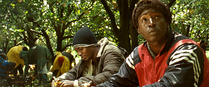 mediterranea21 1 copia