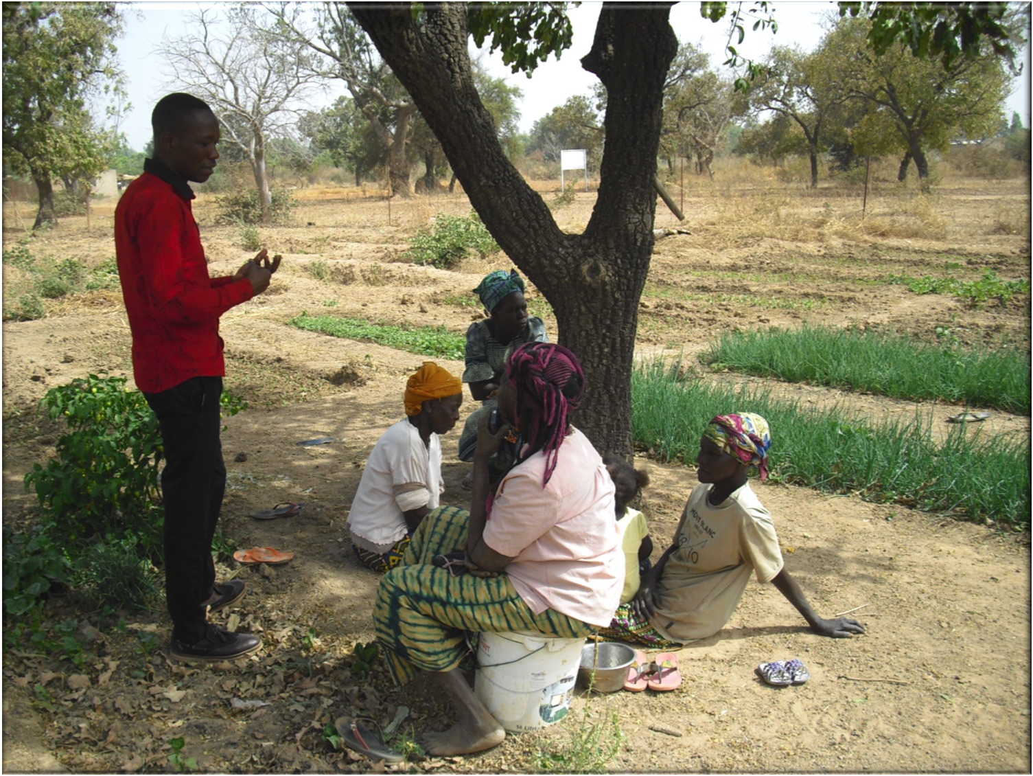 Zi Yacouba cone le donne del sito orticolo di Koubri per RASAD 